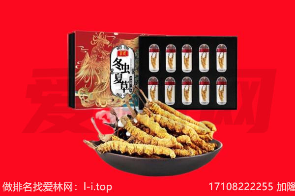 袁州区回收虫草.jpg